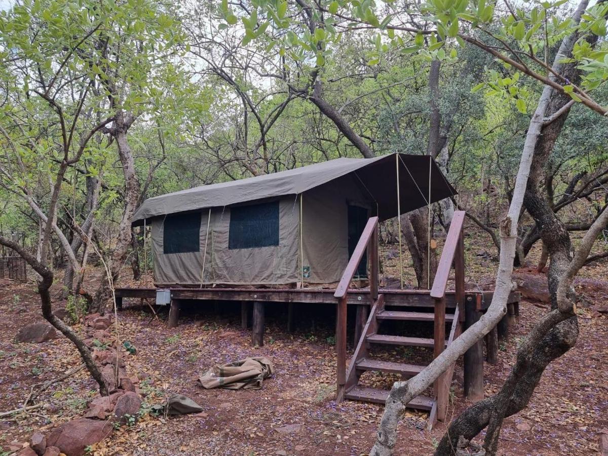 Waterfall Safari Lodge Winterkamp Екстериор снимка