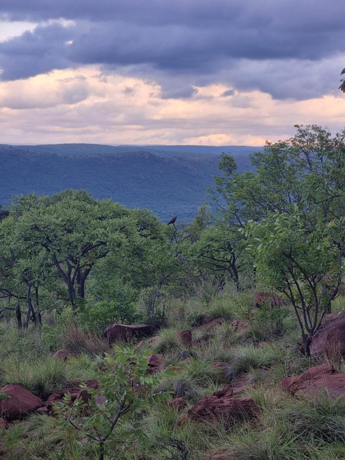 Waterfall Safari Lodge Winterkamp Екстериор снимка